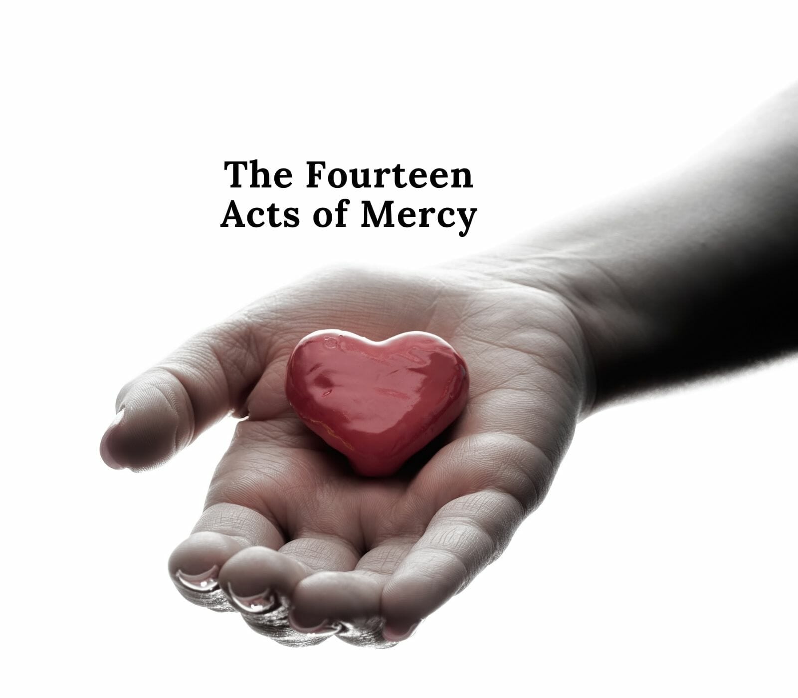 The Fourteen Acts of Mercy