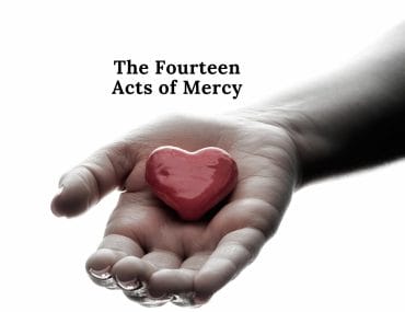 The Fourteen Acts of Mercy