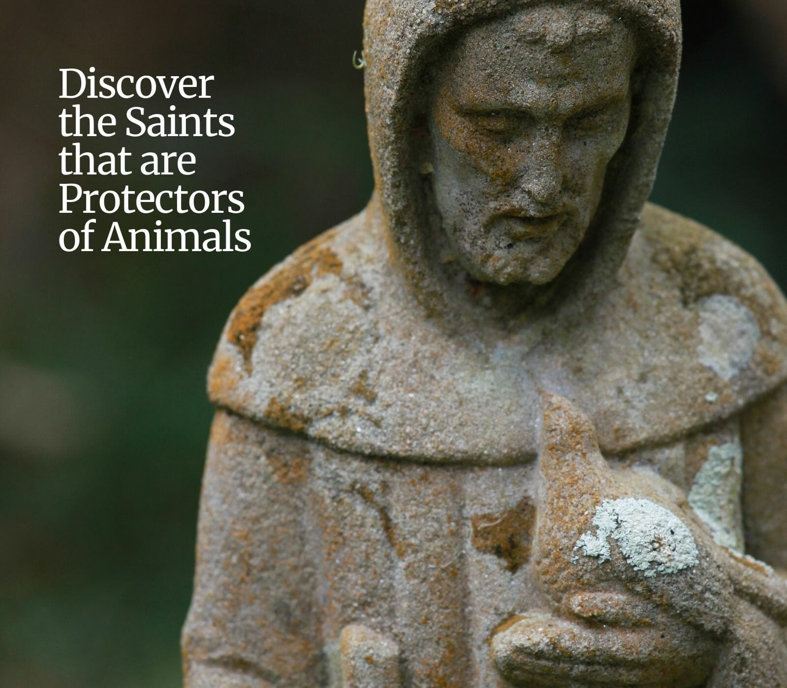 Discover the Saints that are Protectors of Animals