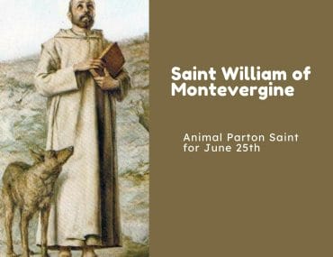 Saint William of Montevergine