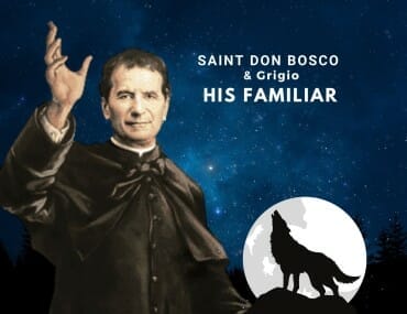 Don Bosco