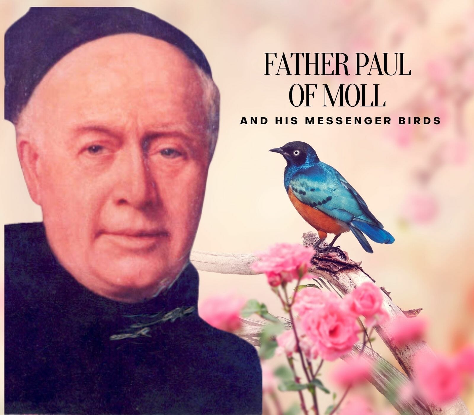 Father Paul Of Moll