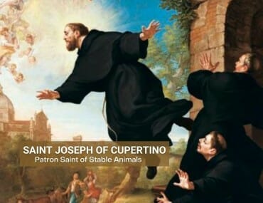 Saint Joseph Of Cupertino