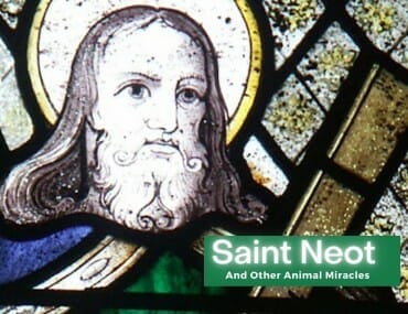 Saint Neot and His Animal Miracles