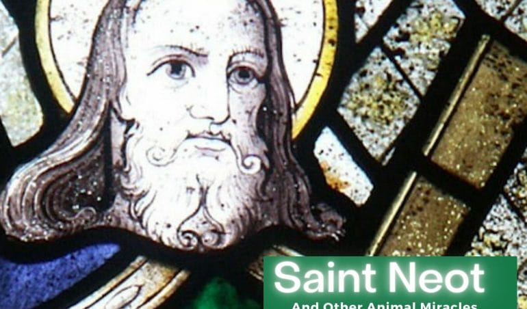 Saint Neot and His Animal Miracles
