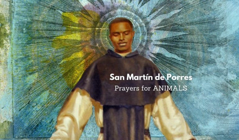 Saint Martín de Porres