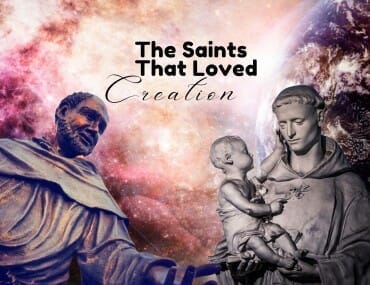 Saints that loved creation