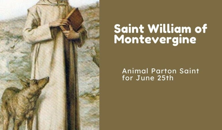 Saint William of Montevergine