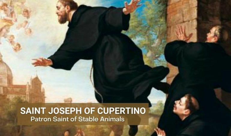 Saint Joseph Of Cupertino