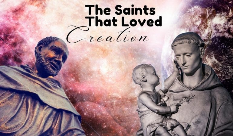 Saints that loved creation